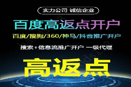 百度推广优化策略：成功案例解析